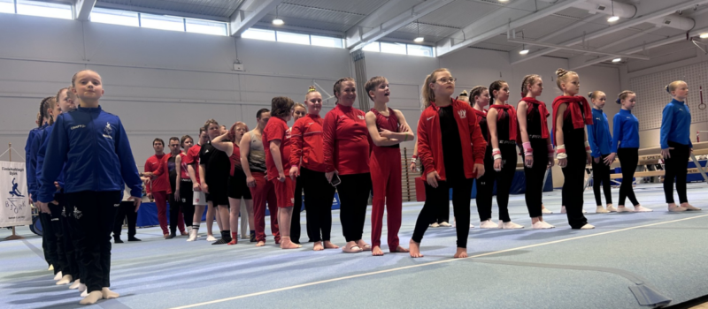 Vel heppnaðir Íslandsleikar í áhaldafimleikum